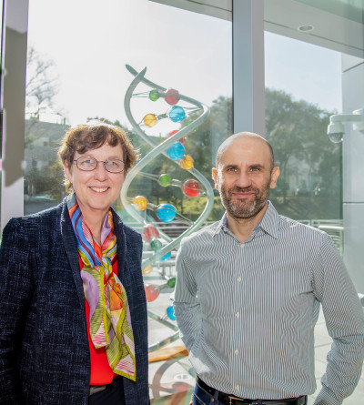 Kathy Yelick and Lenny Oliker pose in front of a three-dimensional DNA model