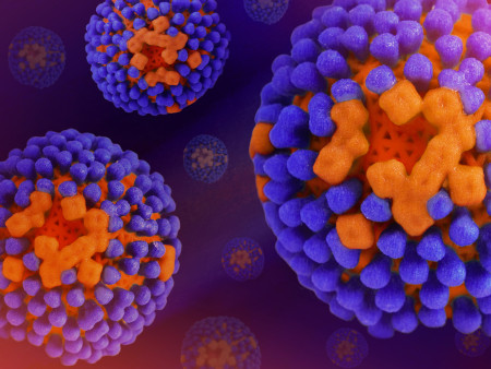 Creative artwork featuring colorized 3D prints of influenza virus in purples and oranges.